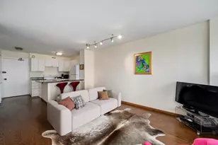 1360 N Sandburg Terrace, Chicago, IL 60610 - Photo 3