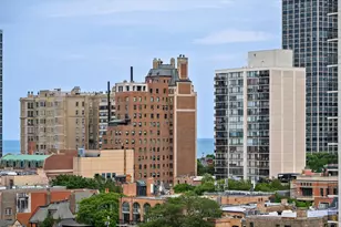 1360 N Sandburg Terrace, Chicago, IL 60610 - Photo 29