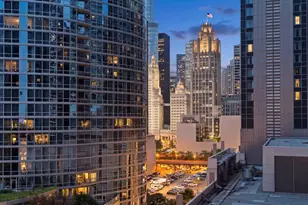 512 N McClurg Ct, Chicago, IL 60611 - Photo 13