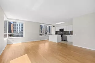 512 N McClurg Ct, Chicago, IL 60611 - Photo 11