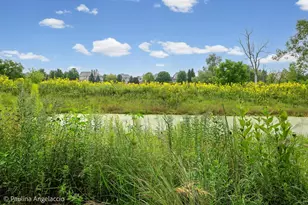 1013 Ridgeview Dr, Inverness, IL 60010 - Photo 45
