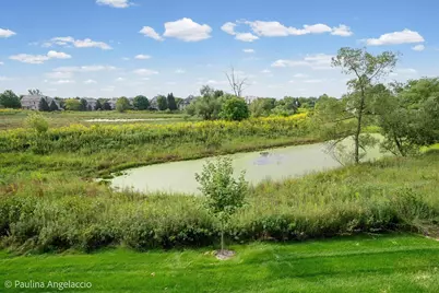 1013 Ridgeview Drive, Inverness, IL 60010 - Photo 19