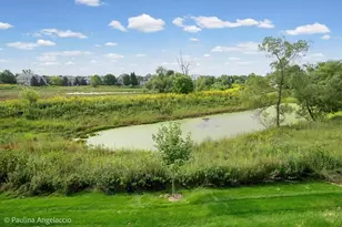 1013 Ridgeview Dr, Inverness, IL 60010 - Photo 19