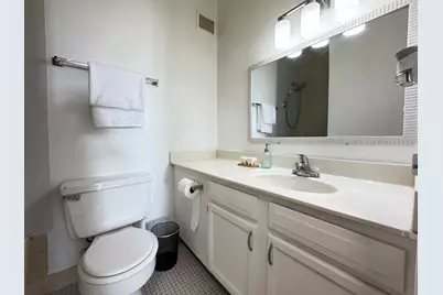 2921 S Michigan Avenue #109, Chicago, IL 60616 - Photo 13
