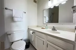 2921 S Michigan Ave, Chicago, IL 60616 - Photo 13