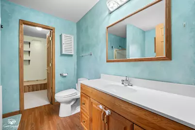 246 Teal Lane, Braidwood, IL 60408 - Photo 21