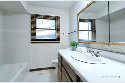 1000 E Ardyce Lane, Mount Prospect, IL 60056 - Photo 31