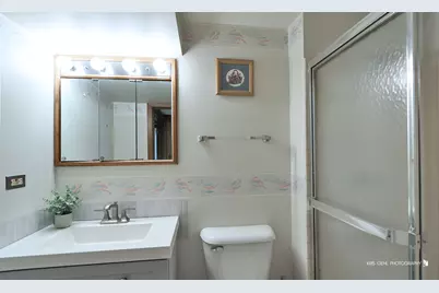 1000 E Ardyce Lane, Mount Prospect, IL 60056 - Photo 35