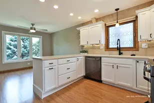 1000 E Ardyce Ln, Mount Prospect, IL 60056 - Photo 9