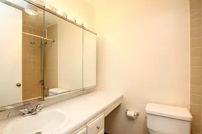 1 E Scott Street #1406, Chicago, IL 60610 - Photo 9