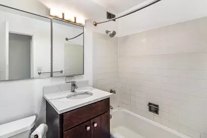 1355 N Sandburg Terrace #1009, Chicago, IL 60610 - Photo 11