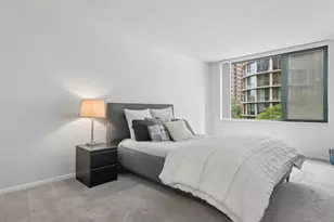 480 N McClurg Ct, Chicago, IL 60611 - Photo 15