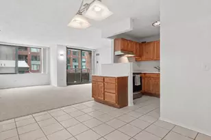 480 N McClurg Ct, Chicago, IL 60611 - Photo 9