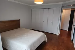 195 N Harbor Dr, Chicago, IL 60601 - Photo 13