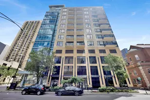 101 W Superior St, Chicago, IL 60654 - Photo 29