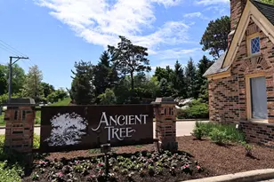 38 The Ct Of Greenway, Northbrook, IL 60062 - Photo 43