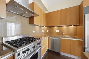 600 N Fairbanks Ct, Chicago, IL 60611 - Photo 11