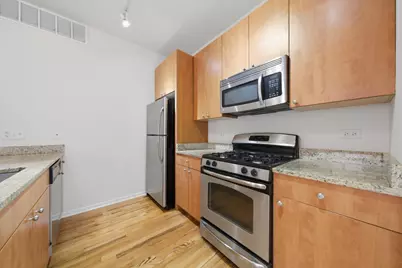 318 E 25th Place #2E, Chicago, IL 60616 - Photo 11