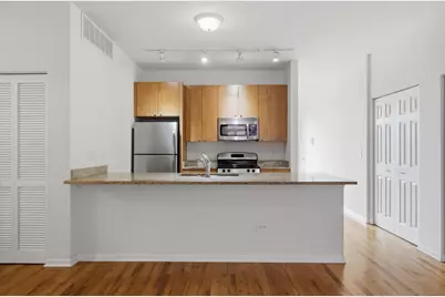 318 E 25th Place #2E, Chicago, IL 60616 - Photo 13