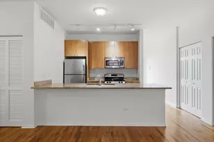 318 E 25th Pl, Chicago, IL 60616 - Photo 13
