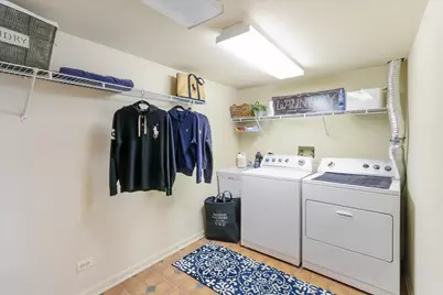 355 Indian Point, Lake Barrington, IL 60010 - Photo 29