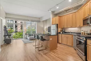 1919 S Michigan Ave, Chicago, IL 60616 - Photo 5