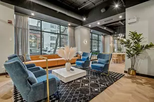 1211 N Lasalle St, Chicago, IL 60610 - Photo 13