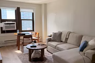 1211 N Lasalle St, Chicago, IL 60610 - Photo 3