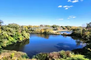 505 Redondo Dr, Downers Grove, IL 60516 - Photo 27