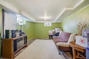 459 N Spring St, Elgin, IL 60120 - Photo 21