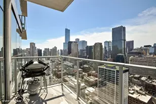 303 W Ohio St, Chicago, IL 60654 - Photo 9