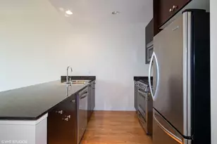 303 W Ohio St, Chicago, IL 60654 - Photo 3