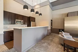 505 N McClurg Ct, Chicago, IL 60611 - Photo 45