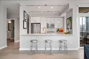 505 N McClurg Ct, Chicago, IL 60611 - Photo 19