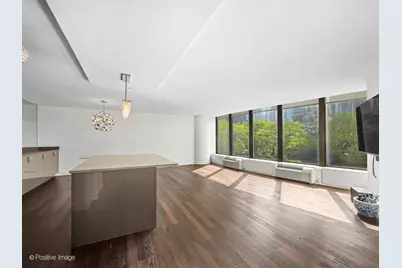 505 N Lake Shore Drive #501, Chicago, IL 60611 - Photo 9