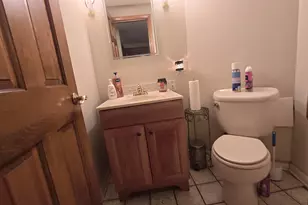 411 N Illinois Ave, Glenwood, IL 60425 - Photo 15