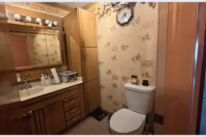 411 N Illinois Avenue, Glenwood, IL 60425 - Photo 23