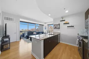 303 W Ohio St, Chicago, IL 60654 - Photo 5