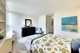 1355 N Sandburg Terrace, Chicago, IL 60610 - Photo 11