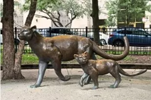 2100 N Lincoln Park West Ave, Chicago, IL 60614 - Photo 29