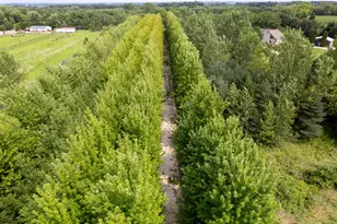00 Burr Oak Rd, Capron, IL 61012 - Photo 49