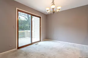 230 Parktrail Ct, Schaumburg, IL 60173 - Photo 13
