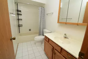 9925 Amanda Ln, Algonquin, IL 60102 - Photo 29