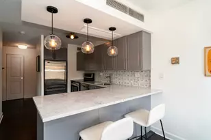 21 W Goethe St, Chicago, IL 60610 - Photo 5