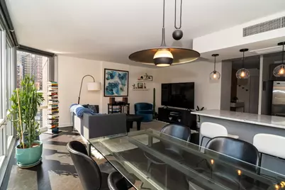 21 W Goethe Street #5G, Chicago, IL 60610 - Photo 3