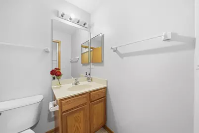 390 Deering Lane, Bolingbrook, IL 60440 - Photo 19