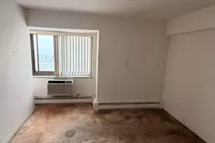 7337 S South Shore Dr, Chicago, IL 60649 - Photo 15