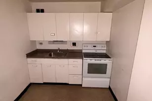 7337 S South Shore Dr, Chicago, IL 60649 - Photo 11