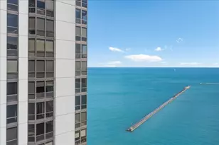 910 N Lake Shore Dr, Chicago, IL 60611 - Photo 31