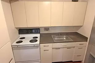 7337 S South Shore Dr, Chicago, IL 60649 - Photo 11